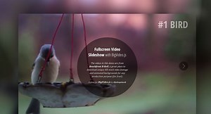 Fullscreen Video Slideshow with BigVideo.js | Codrops