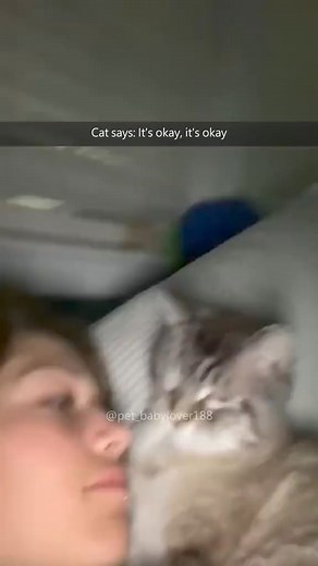 655K views · 10K reactions | Why does my cat always sneeze at me?蠟#cat #cats #cutecat #catlover #cats #reels #kitty #fyp #foryou #foryoupage #funny #fypシ #funnycat #funnyvideos #reels #funnyanimals #kitty | Pets Things | Facebook