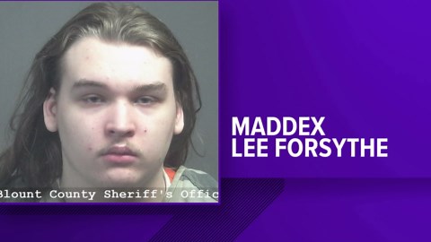 Teen indicted in 2024 Blount County crash that killed 19-year-old Madison Hoese