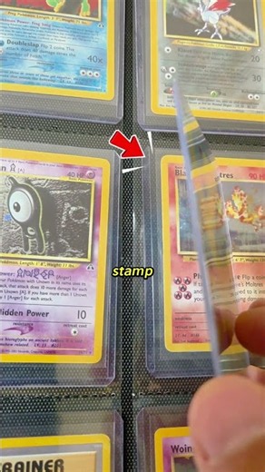 Pokémon Center Germany Drop Was Insane