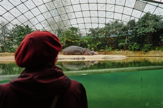 People living with dementia are often overlooked. This tour at the Berlin Zoo seeks to change that