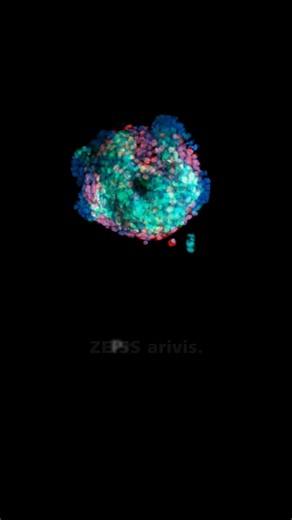 Advanced Image Analysis Made Easy with ZEISS arivis. | ZEISS Microscopy