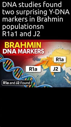 Brahmin DNA: The Russia & Steppe Connection