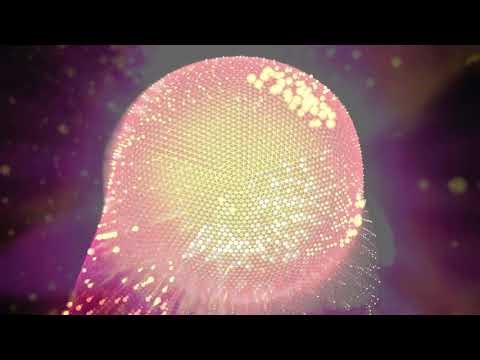 Digitonal - The Dance's Pattern
