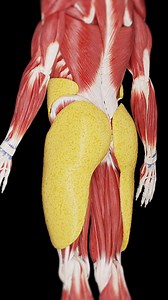 547K views · 152 reactions |  Uncover the Secrets of Subcutaneous...