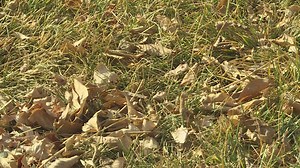 RTD bus engulfed in flames along Interstate 76