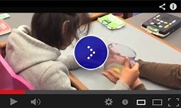 Strategies for Assessing and Teaching Students with Visual and Multiple Disabilities