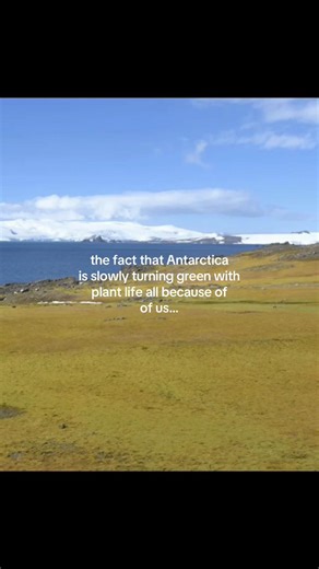 Antarctica's Transformation: Climate Change's Impact