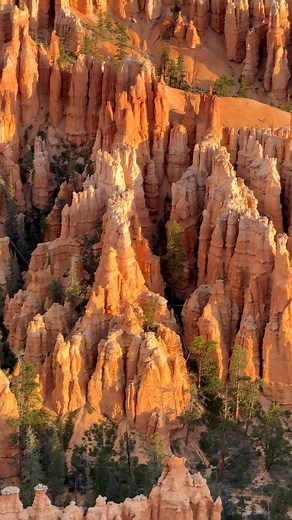 A masterpiece of nature 😲😍 | Gallery of Nature