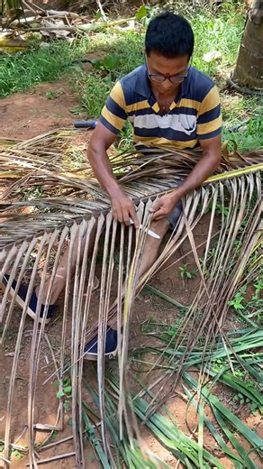 659K views · 4.7K reactions | How are Broom made in Indian Village from Scratch | Indian Food Mania | Facebook