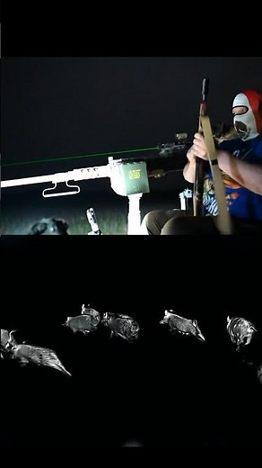 Extreme feral hog eradication #feralhogs #invasivespecies #hunting #50cal