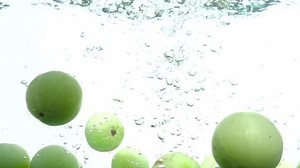 Slowmotion Amla Green Fruits Phyllanthus Emblica Stock Footage Video (100% Royalty-free) 1017082486 | Shutterstock