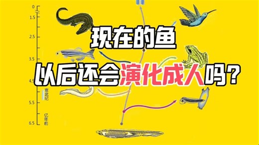 从鱼到人，经历了哪5次主要器官改造事件？【舒德干院士】