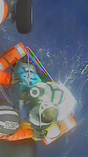 Coast Guard rescue sailboaters, dog and cat from disabled vessel #coastguard #rescue #petrescue | Defense News
