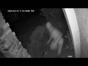 Deltona woman shoots burglar while on 9-1-1 call, Sheriff's Office says