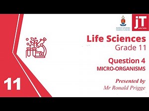 Gr 11 Life Sciences - Micro Organisms - Question 4