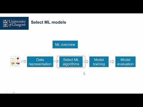 017 - Summary of the ML Process