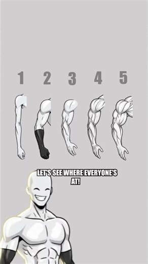 Arm Levels Ranked – Which One Are You?