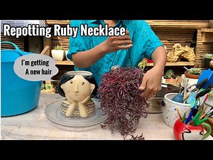 Repotting Ruby Necklace ( With Care Tips)