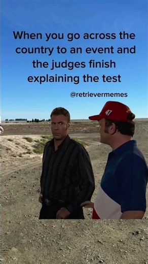 #fieldtrial #dog #hunttest #retrievertraining #retreiver #dogsports