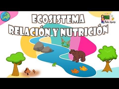 Ecosistema - Relación y Nutrición | Aula chachi - Vídeos educativos para niños