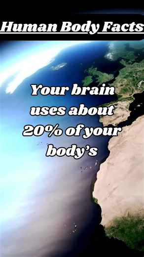 The Most Interesting Facts You’ll Hear Today!