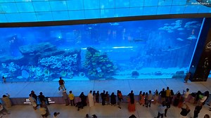 33 reactions | Dubai Mall Walk Part 2 | Dubai Walker | Facebook