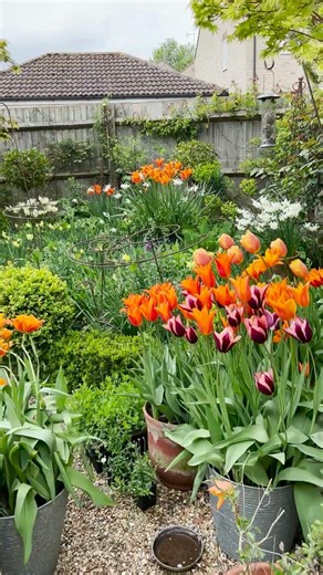 Want your garden to look like this next spring?