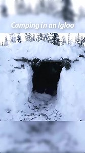 24K views · 210 reactions | Camping in an Igloo #camp #camping #survivaltips #bushcraft #outdoors #satisfying | Ricky NaNa | Facebook