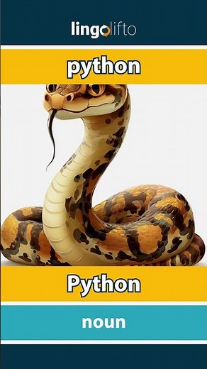 🇬🇧🇩🇪 python - Python : learn English : Lernen wir Englisch : vocabulary builder