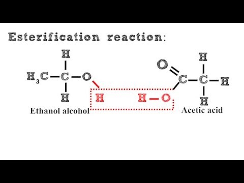 Esterification Reaction