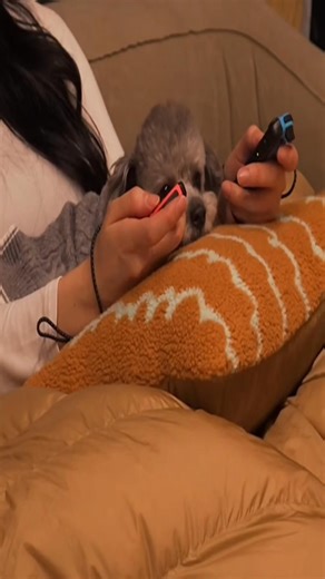 47K views · 1.7K reactions | Pretty girl Camping on the top of the mountain in | A.B. Views | Facebook