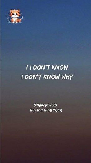 Shawn Mendes - Why Why Why (Lyrics)