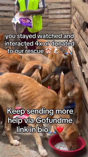 Lend me a hand ❤️Every donation helps me continue my mission. PayPal link my bio🙏🏼❤️ #fyp