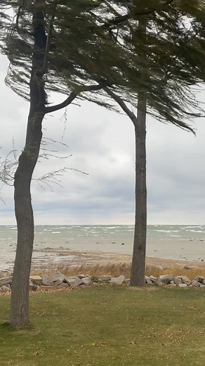 5.1K views · 94 reactions | The winds of November, on the 50th anniversary of the wreck of the Edmund Fitzgerald. | Port Hope Area Historical Society | Facebook