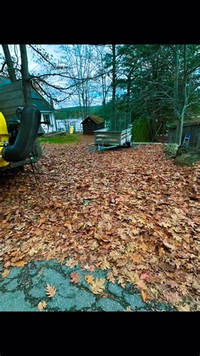  Sweeney’s Landscaping & Junk Removal  Ready to Make Your Leaves Disappear! Whether you need curbside leaf pickup or a full-service leaf cleanup, we’re the team you can count on. We strive for excellence and work hard to give every customer a 5-star experience from start to finish. Fast • Reliable • Affordable Call or text today to get on our schedule!  | Sweeney landscaping & junk removal | Facebook