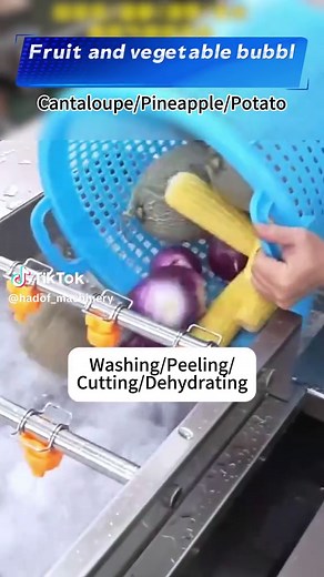 Bubble Washing Machine for Fruits & Vegetables