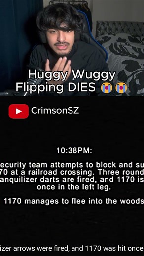 Poppy Playtime Files Are Insane #fnaf #fivenightsatfreddys #poppyplaytime