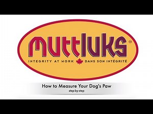 How to Measure Your Dog's Paw