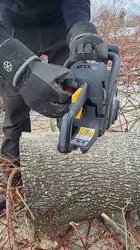 Mcculloch CS 410 ELITE Test