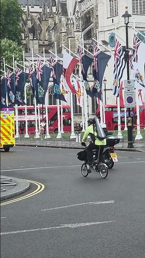 🇬🇧 Why Are These Flags Flying In London?