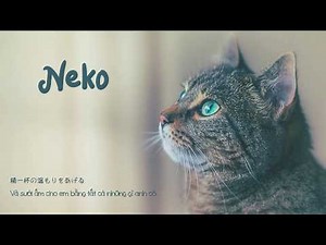 Neko - DISH// (Vietsub)