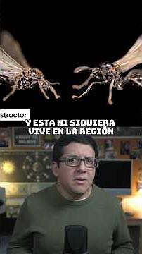 Queen ants discovered producing offspring of different species 😱