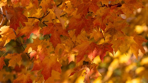 When will we finally cool off in Alabama? Here's what Old Farmer's Almanac is predicting