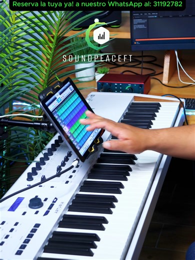 iPad Disponibles con más de 2000 Samples y más de 100 Ritmos Profesionales, a un Precio de Oferta!✅ 🛵 Envío gratis a todo el país! ✅ Pago contra entrega (Pagas al recibir tu iPad) ✅ WhatsApp al: 31192782 Contamos con librerías de: ✅Yamaha PSR 550 ✅Korg Triton Studio ✅Korg N364 ✅Korg 01W ✅Korg M1 ✅Korg D50 ✅Pianos para centro, pianos de adoración y Worship Pads. ✅Instrumentos Reales ✅Sonidos de Jacobo Reynoso, Banda Transfiguración, etc. ✅Korg PA1000 ✅Korg PA700 ✅Yamaha PSR900 ✅Korg Kronos ✅Korg