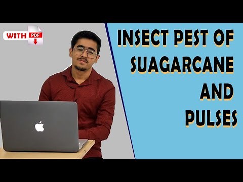 Insect pests of Sugarcane & Pulses ENTO 311