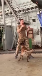 10K views · 501 reactions | Trainer dog military ❤️❤️ #dog #hundetraining #military #k9training #trending #hundevideos #tactical #dogtactical | Daily adventures | Facebook