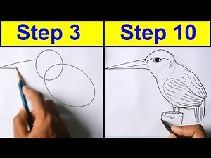 Capturing the Majesty: Step-by-Step Kingfisher Bird Line Drawing Tutorial