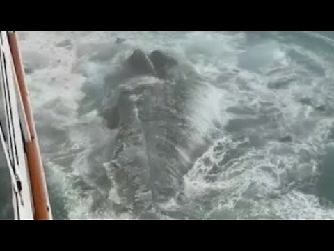 Norwegian Cruise Line ship hits iceberg, passenger calls it 'Titanic 2.0'