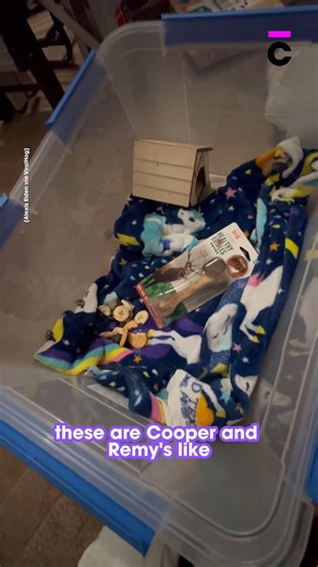 SO many questions?!?!🤯 | Common Entertainment